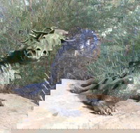 Bathurst Arts Trail - Accommodation NT