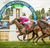 Bathurst Cup - Accommodation NT
