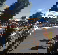 Bunny Bazaar - Accommodation NT