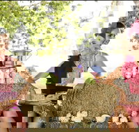 Burdekin Growers Race Day - Accommodation NT