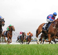 Christmas Cup Race Day - Accommodation NT