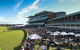 City Tattersalls Club Cup Day - thumb 1