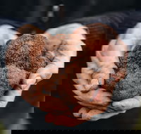 Feast and Forage - Craig's Royal Hotel - Accommodation NT