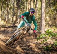 Fox Superflow sealed by Stan's Race  Ourimbah - Accommodation NT