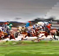 Grafton July Racing Carnival - Accommodation NT