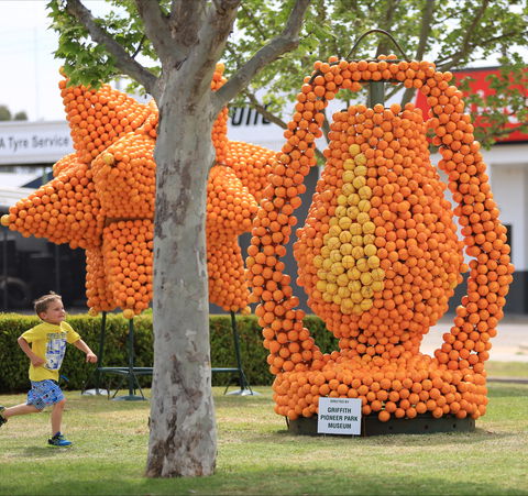 Griffith Spring Fest - Accommodation NT 1