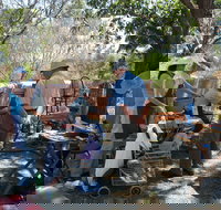 Herring Island Summer Arts Festival