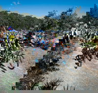 JetBlack Wild Wombat MTB Challenge - NT Tourism