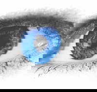 Joe Orton's What the Butler Saw - Accommodation NT