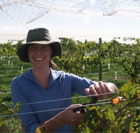 Kingsdale Wines - Cellar Door Wine Tastings - Accommodation NT