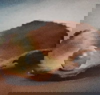 Lecture Cancelled  ADFAS  Lecture Half-Day - Patricia Law speaking on Pearls and Diamonds - Accommodation NT