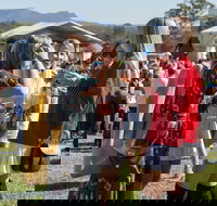 Lovedale Long Lunch - Accommodation NT