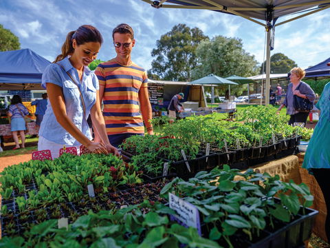 Margaret River Farmers Market - Accommodation NT 1