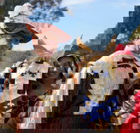 Newbridge Winter Solstice Festival - Accommodation NT