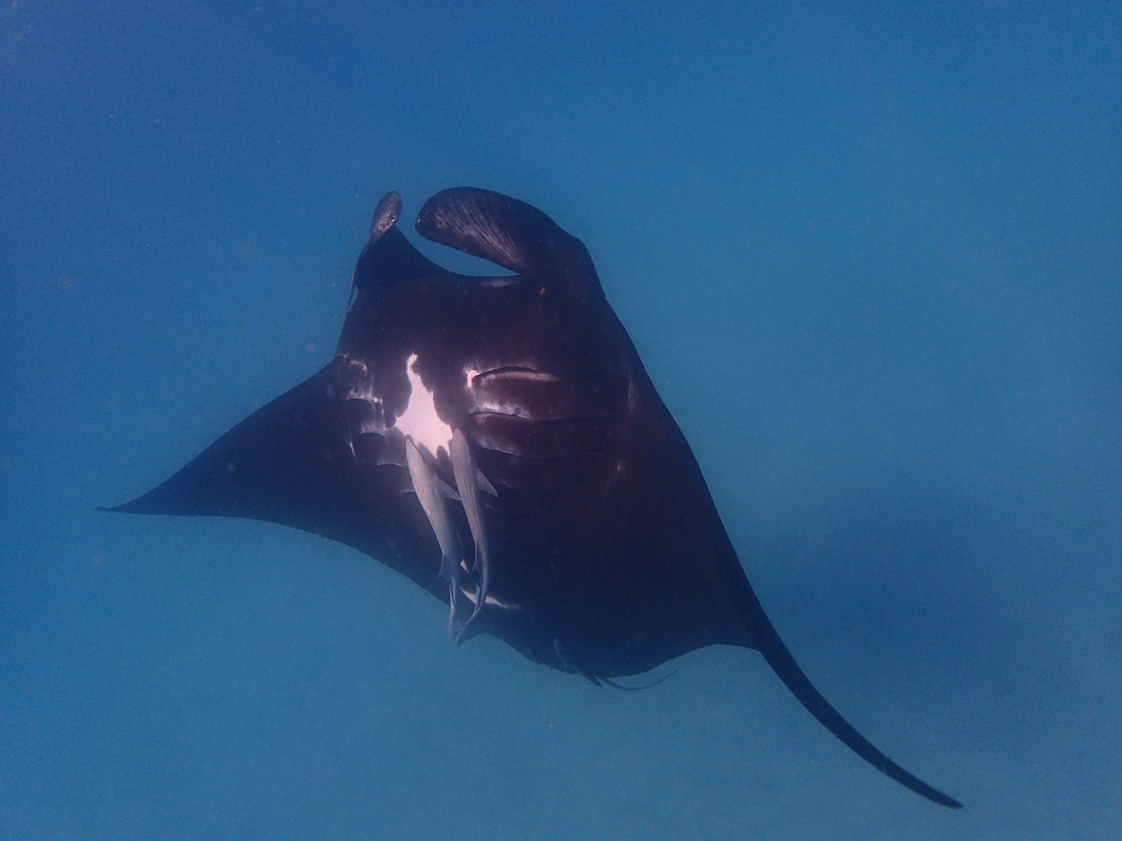 Carbla WA Accommodation NT