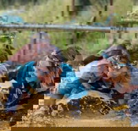 Suck It Up Buttercup Vikings Obstacle Course - Accommodation NT