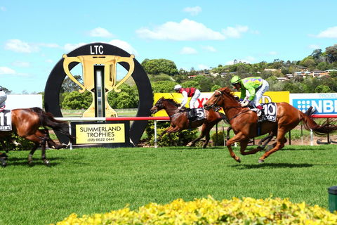 The O’Brien Electrical And Plumbing Lismore Cup - Accommodation NT 1