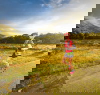 Trail Run Australia  Snowy Mountains - Accommodation NT