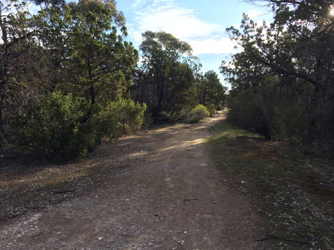Victoria Park Moonta Monthly Walks - Accommodation NT 0