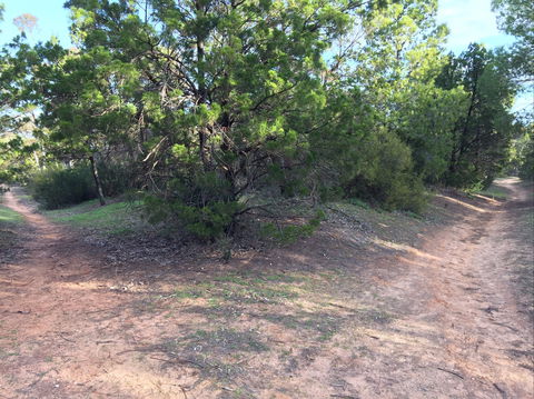 Victoria Park Moonta Monthly Walks - Accommodation NT 1