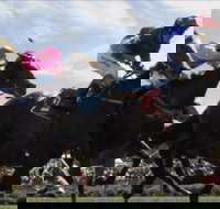 Batemans Bay Cup - Accommodation NT