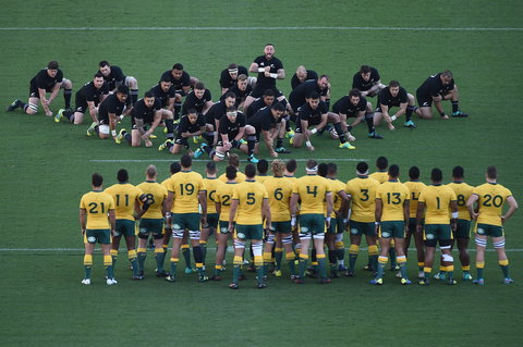 Bledisloe Cup: Qantas Wallabies Versus All Blacks - Accommodation NT 0