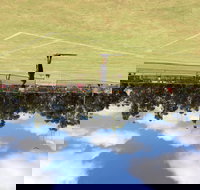 Charlton Lawn Tennis Club Annual Tournament - Accommodation NT