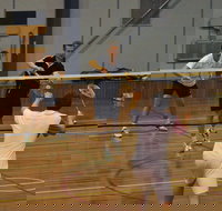 Charlton Badminton Club Ladies Tournament - Accommodation NT