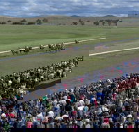Cooma Sundowners Cup - Accommodation NT