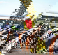 De Bortoli Wines Golden Rose Day - Accommodation NT