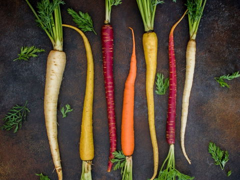 Food For Good Festival - Accommodation NT 0