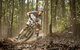 Fox Superflow Sealed By Stan's Race | Jolly Nose - thumb 1