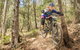 Fox Superflow Sealed By Stan's Race | Jolly Nose - thumb 2