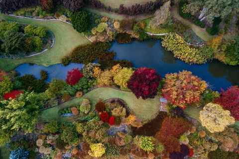 Glenrock Gardens Open Garden - Accommodation NT 0