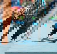 Gold Coast Triathlon Training - Accommodation NT