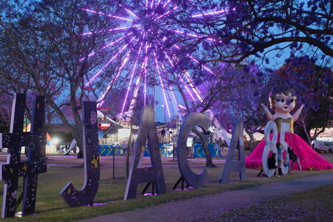 Grafton Jacaranda Festival - Accommodation NT 0