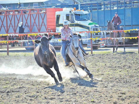 Gresford  Campdraft And Rodeo - Accommodation NT 0