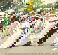 Mary Poppins Festival - Accommodation NT