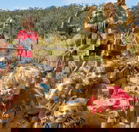 Mini Muddies Obstacle Challenge at Bunnamagoo Estate - Accommodation NT