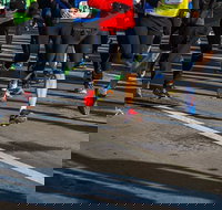 Moruya Town to Surf Fun Run - Accommodation NT