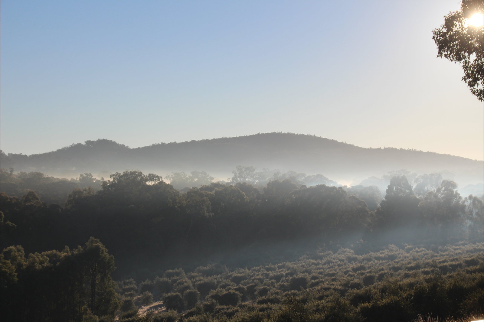 Cooyal NSW Accommodation NT