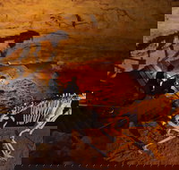 Naracoorte World Heritage Festival and Run - Accommodation NT