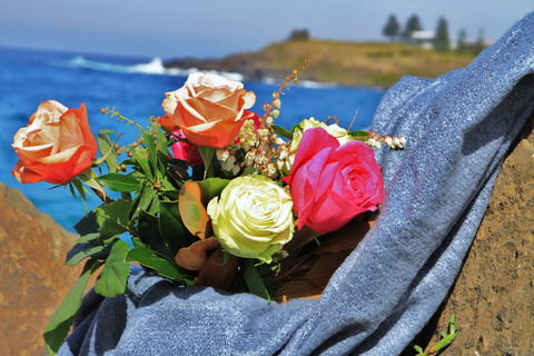 Roses By The Seaside: National Rose Championships And Conference - Accommodation NT 0