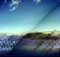 Scenic Rim Ultra - Accommodation NT