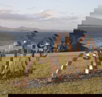 Sculpture Bermagui - NT Tourism