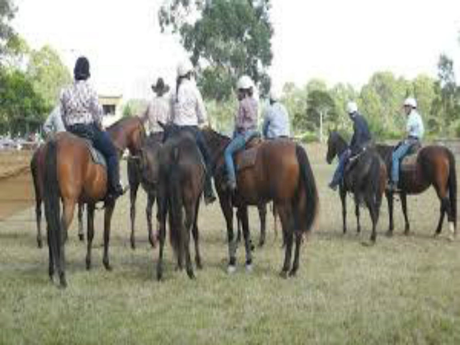 Allworth NSW Accommodation NT