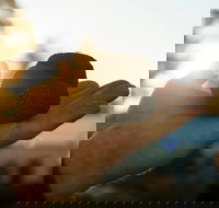 The Truffle Festival - Canberra Region - Accommodation NT