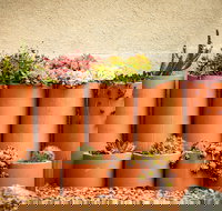 Tumbarumba Spring Flower Festival - Accommodation NT