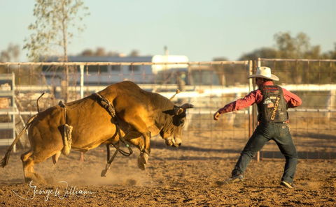 Walgett Charity Bushman's Carnival Rodeo And Campdraft - Accommodation NT 0