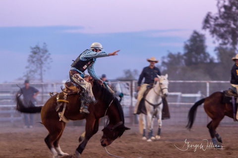 Walgett Charity Bushman's Carnival Rodeo And Campdraft - Accommodation NT 1